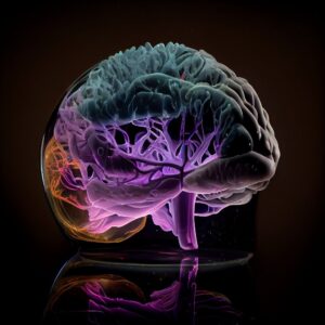 نحوه عملکرد مغز